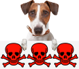 h100
