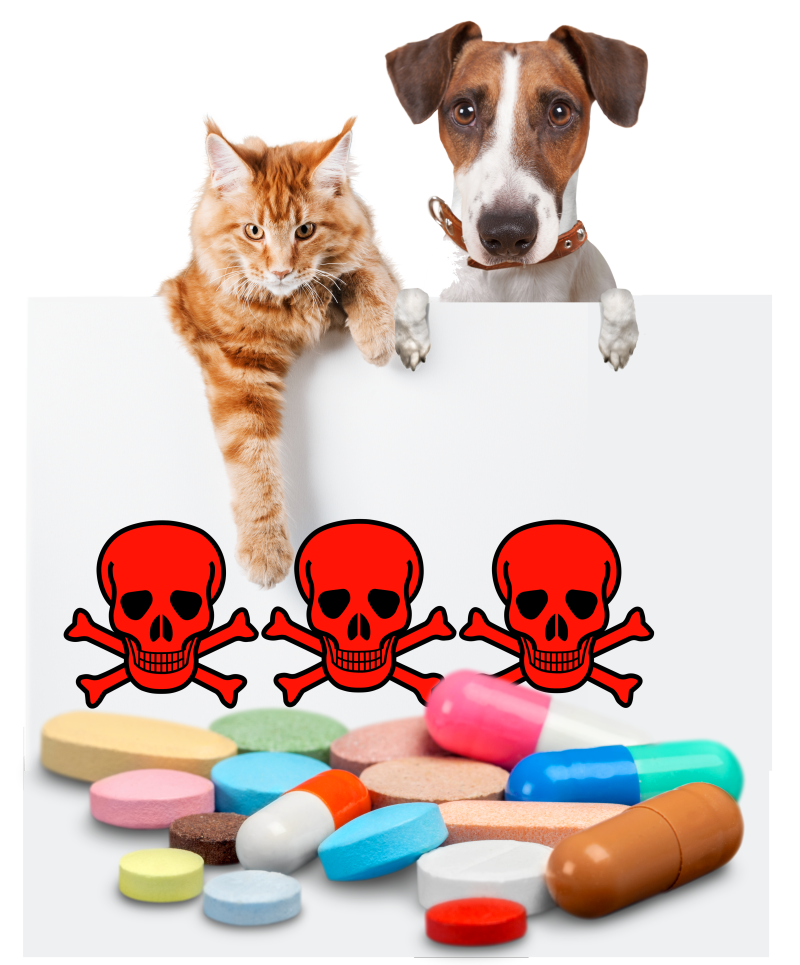 hundkatzemedikamente klein